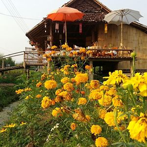 Tulip Resort Pai