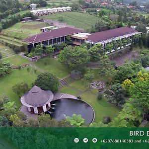 Amaryllis Boutique Resort